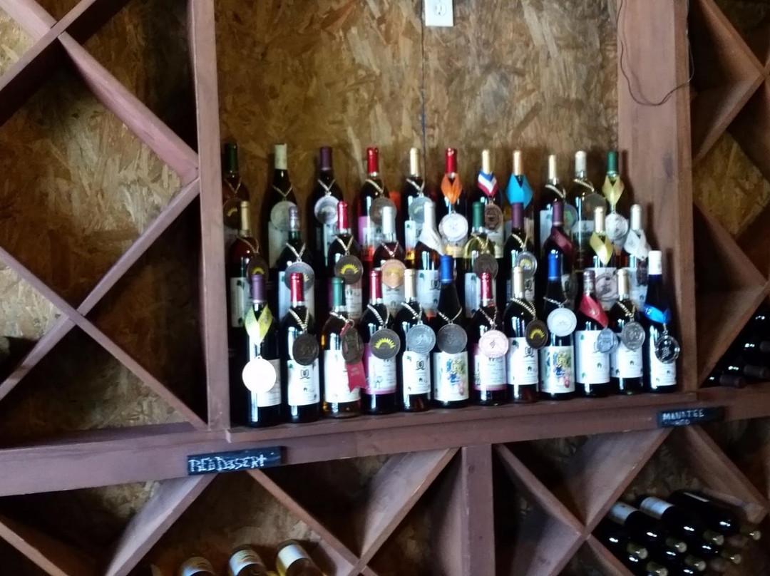 Rosa Fiorelli Winery & Vineyard-布雷登顿必去景点