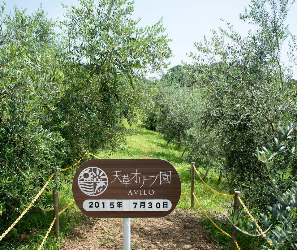 Amakusa Olive Garden Avilo-天草市必去景点