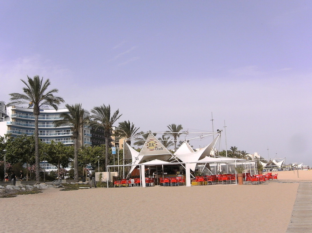 Playas de Calella景点图片
