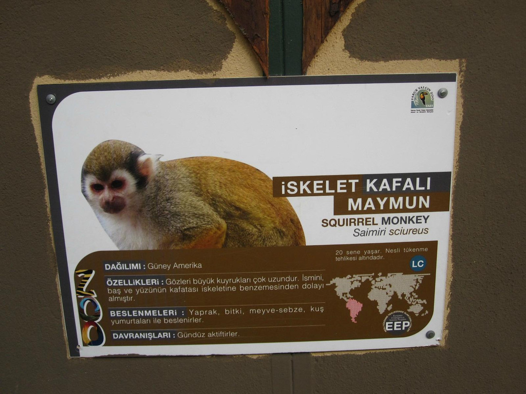 Bogazici Hayvanat Bahcesi景点图片