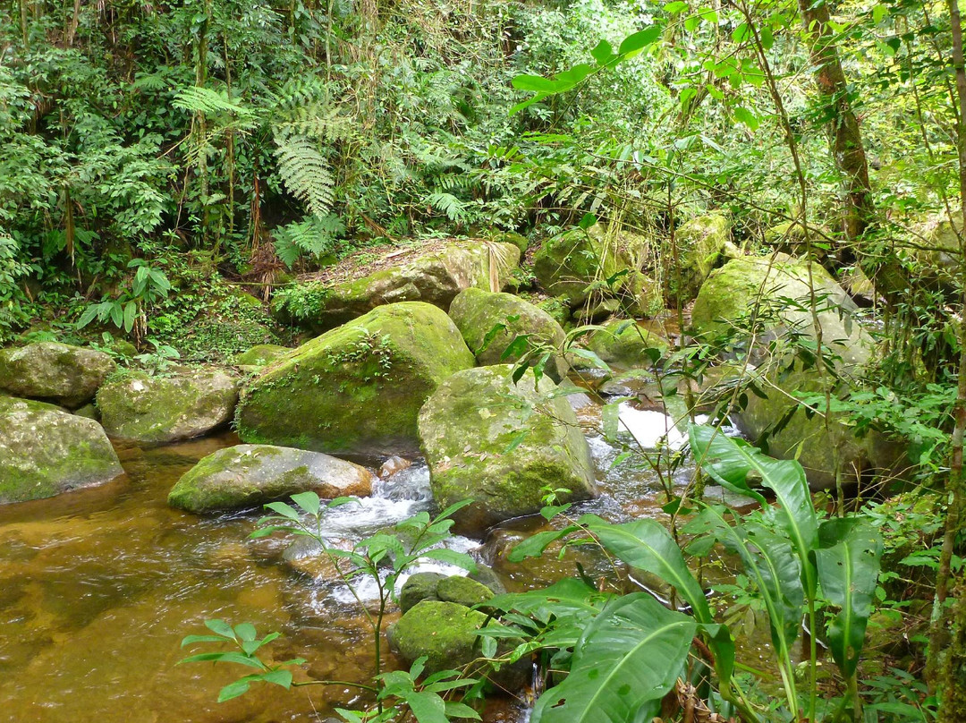 Parque Estadual Serra do Mar - Núcleo Caraguatatuba-Caraguatatuba必去景点