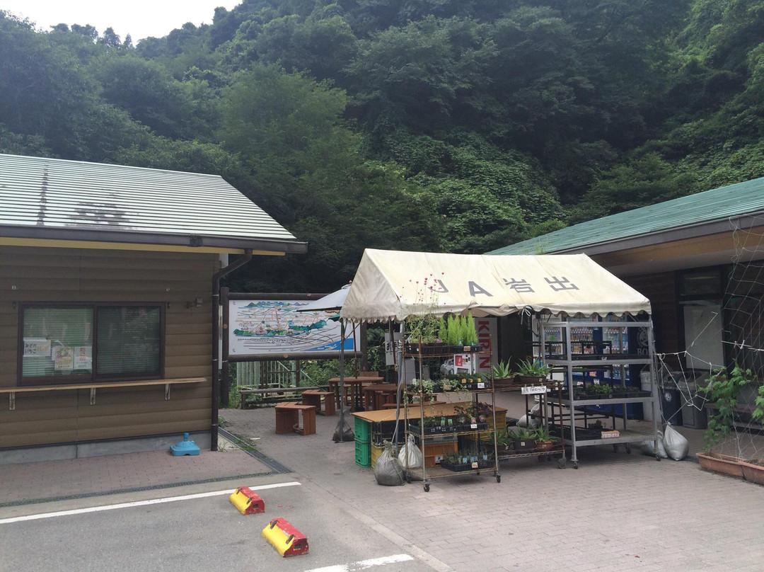 Michi no Eki Negoro Sakuranosato-岩出市必去景点