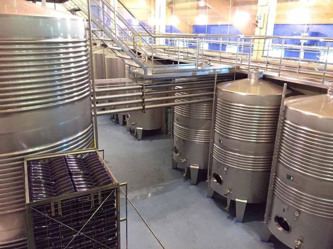 Bodegas Mar De Frades景点图片