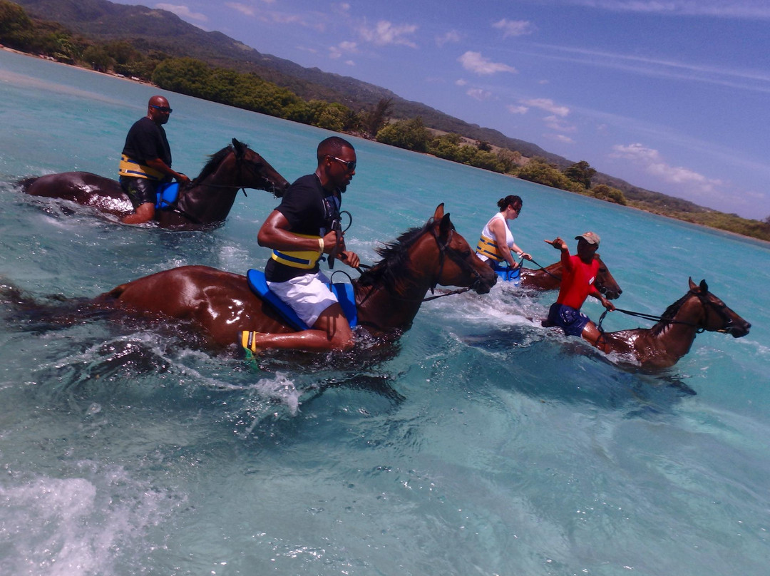 JusTours Jamaica - Horseback Ride 'n' Swim Tour-Lucea必去景点