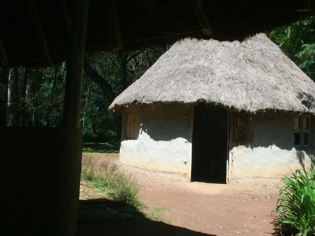 KEEP Bandas at Kakamega Forest主图