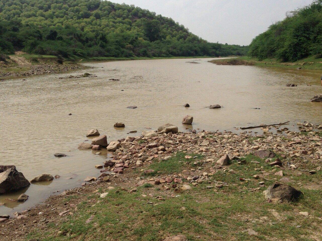 Ramgarh Vishdhari Sanctuary景点图片