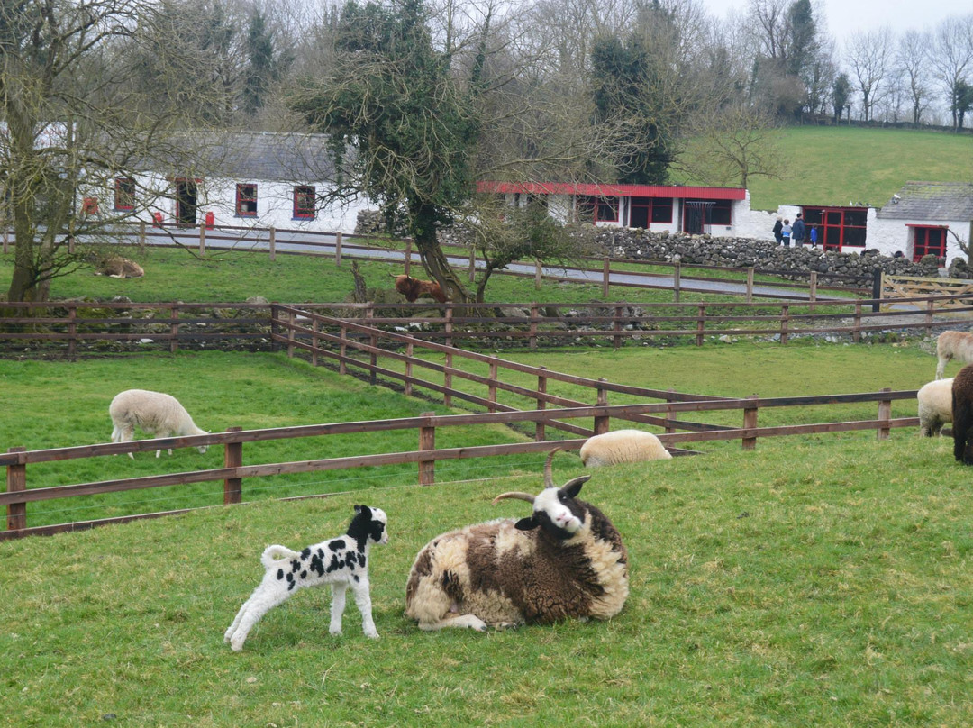 Glendeer Pet Farm景点图片