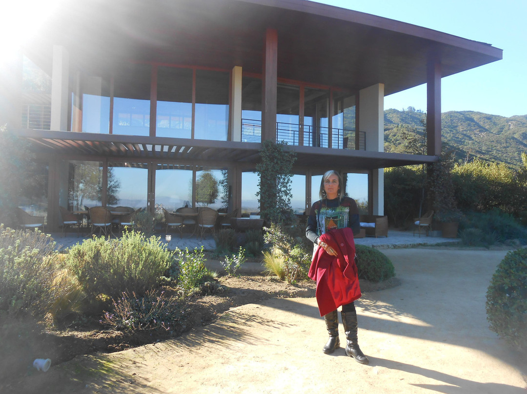 Colchagua Wine Tours-圣克鲁斯必去景点