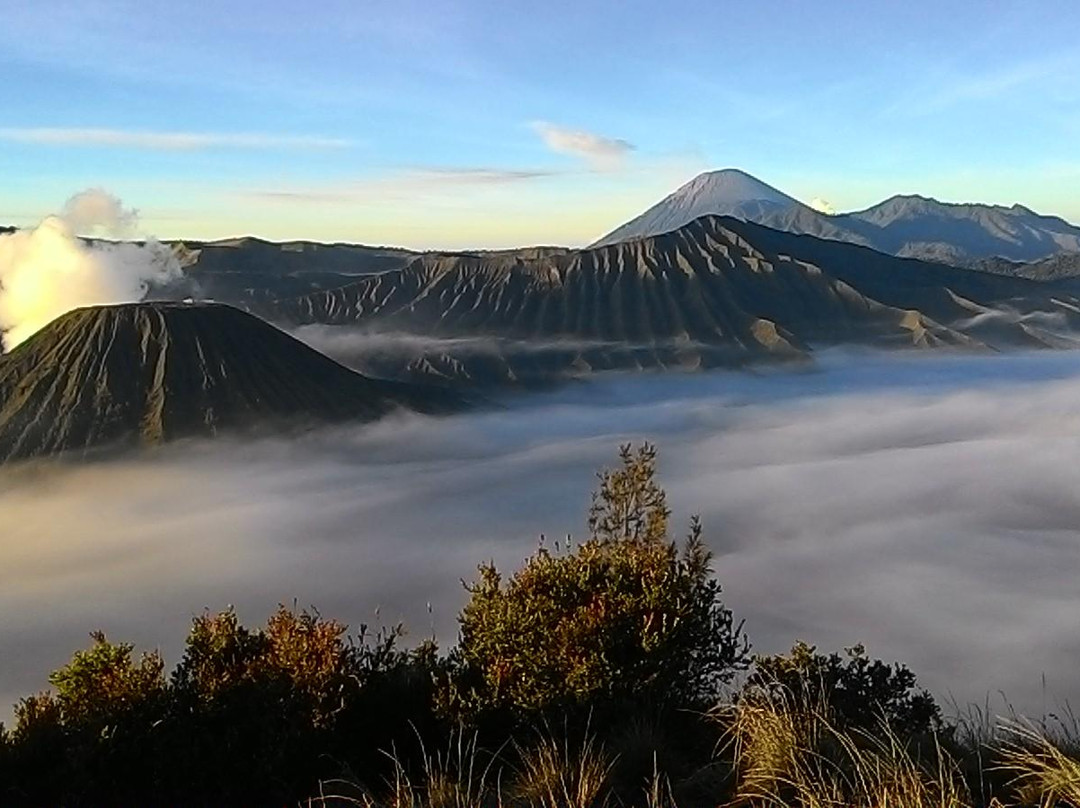 Bromo Tengger Semeru National Park景点图片