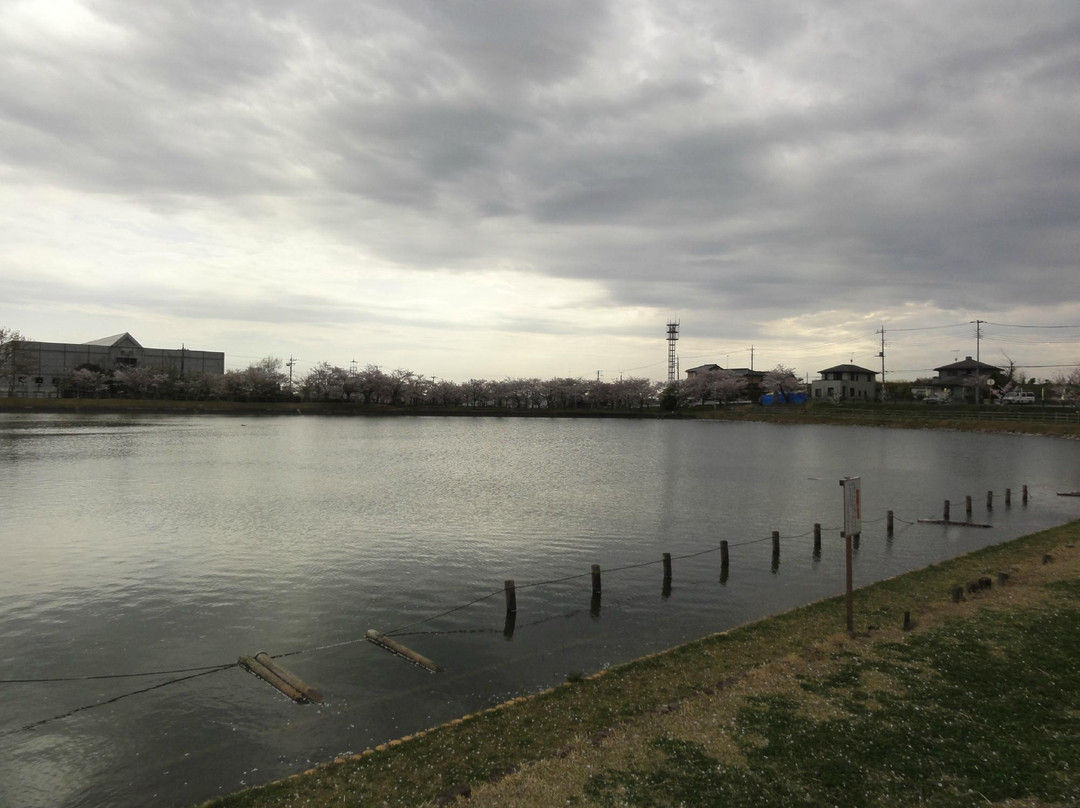 Hojo Oike Pond-筑波市必去景点