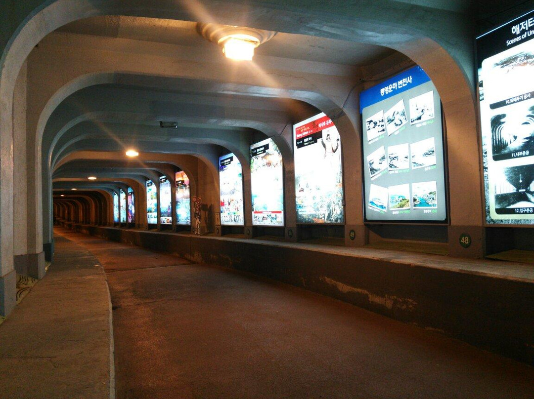 Undersea Tunnel-统营市必去景点