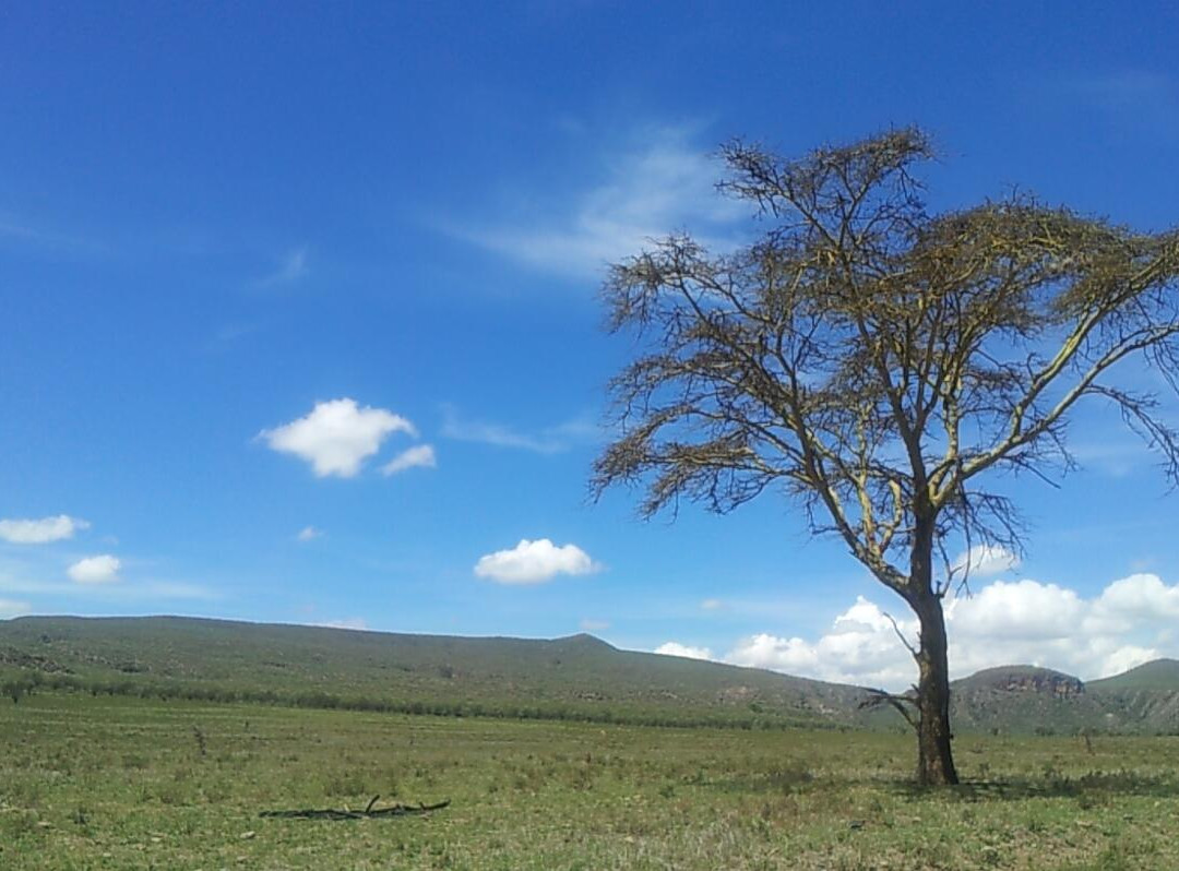 Hell's Gate National Park-奈瓦夏必去景点
