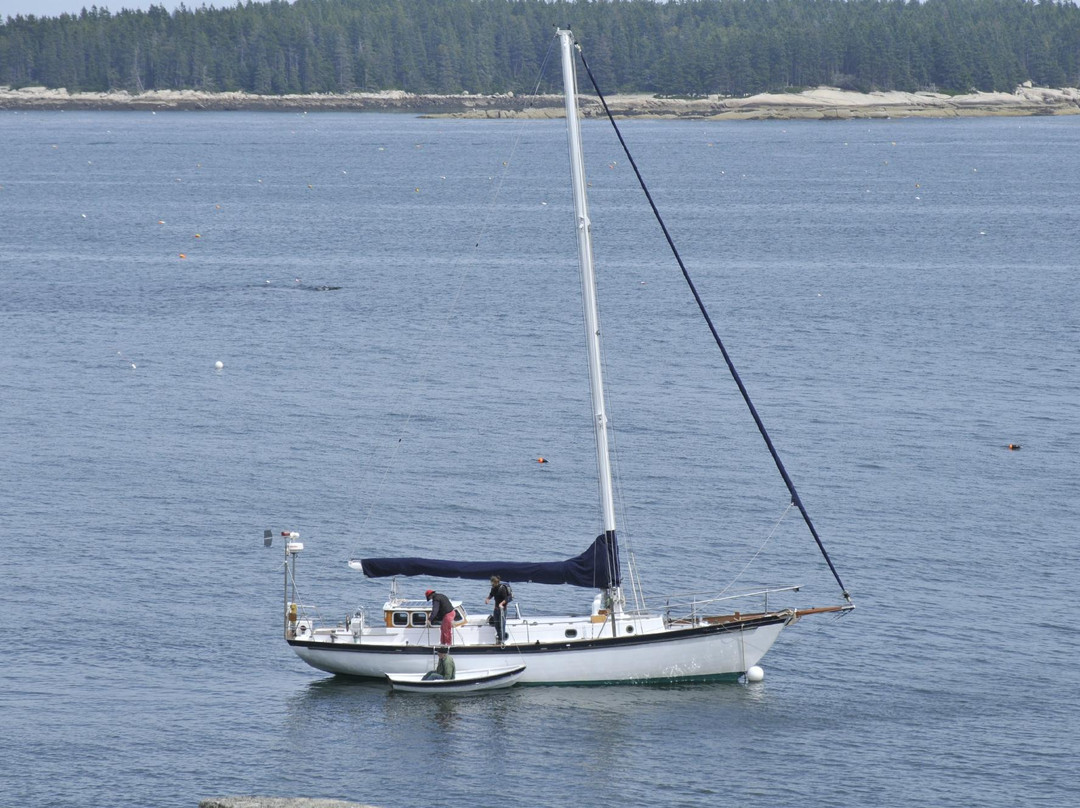 Blue Yonder Sail Charters - Day Tours景点图片