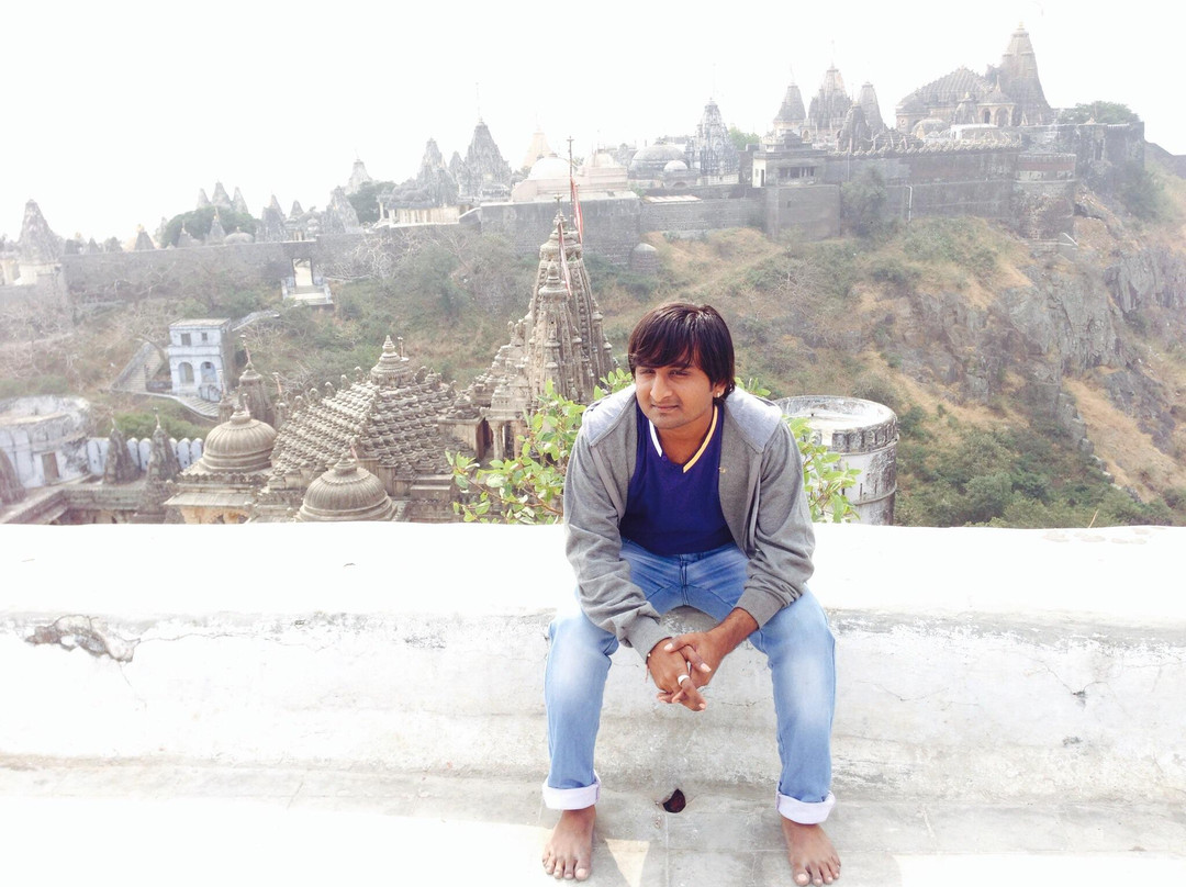 Vimalshah Temple景点图片