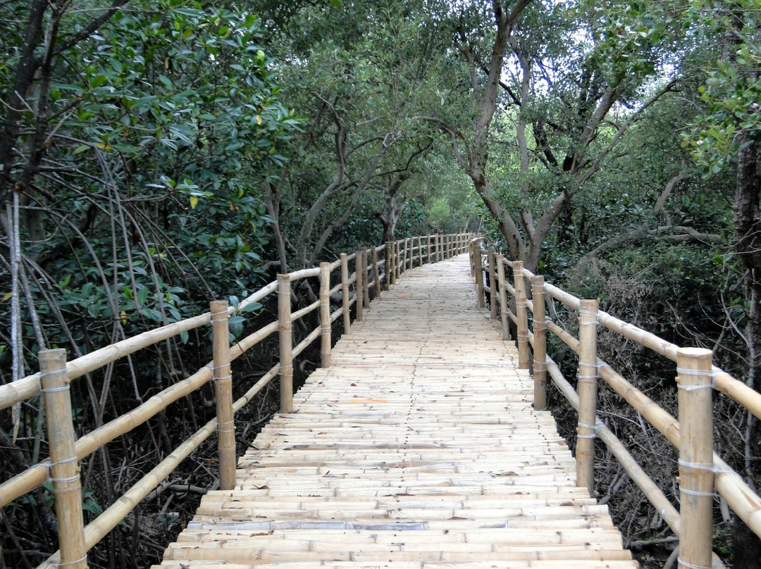 Balanga Nature and Wetland Park景点图片