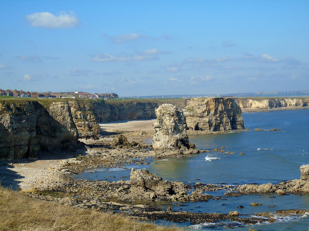 Souter Lighthouse and The Leas-桑德兰必去景点