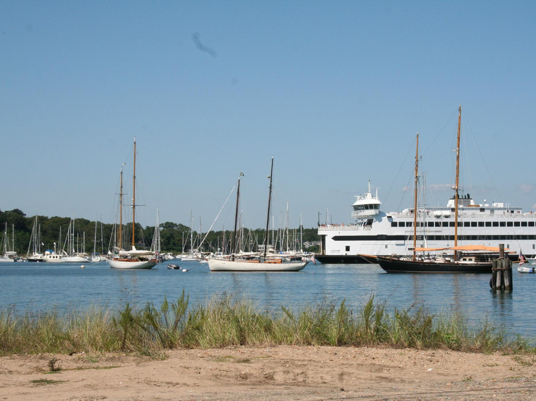 Martha's Vineyard Family Campground