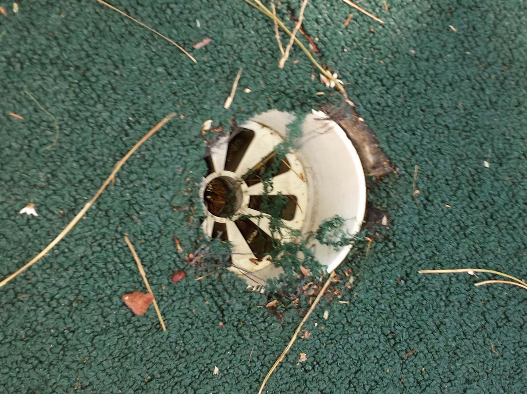 Scandia-安大略必去景点