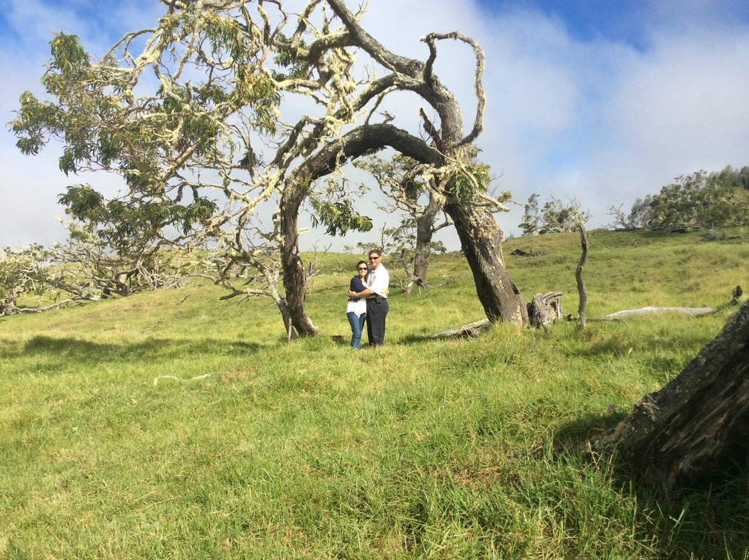 Hawaiian Legacy Tours-希洛必去景点