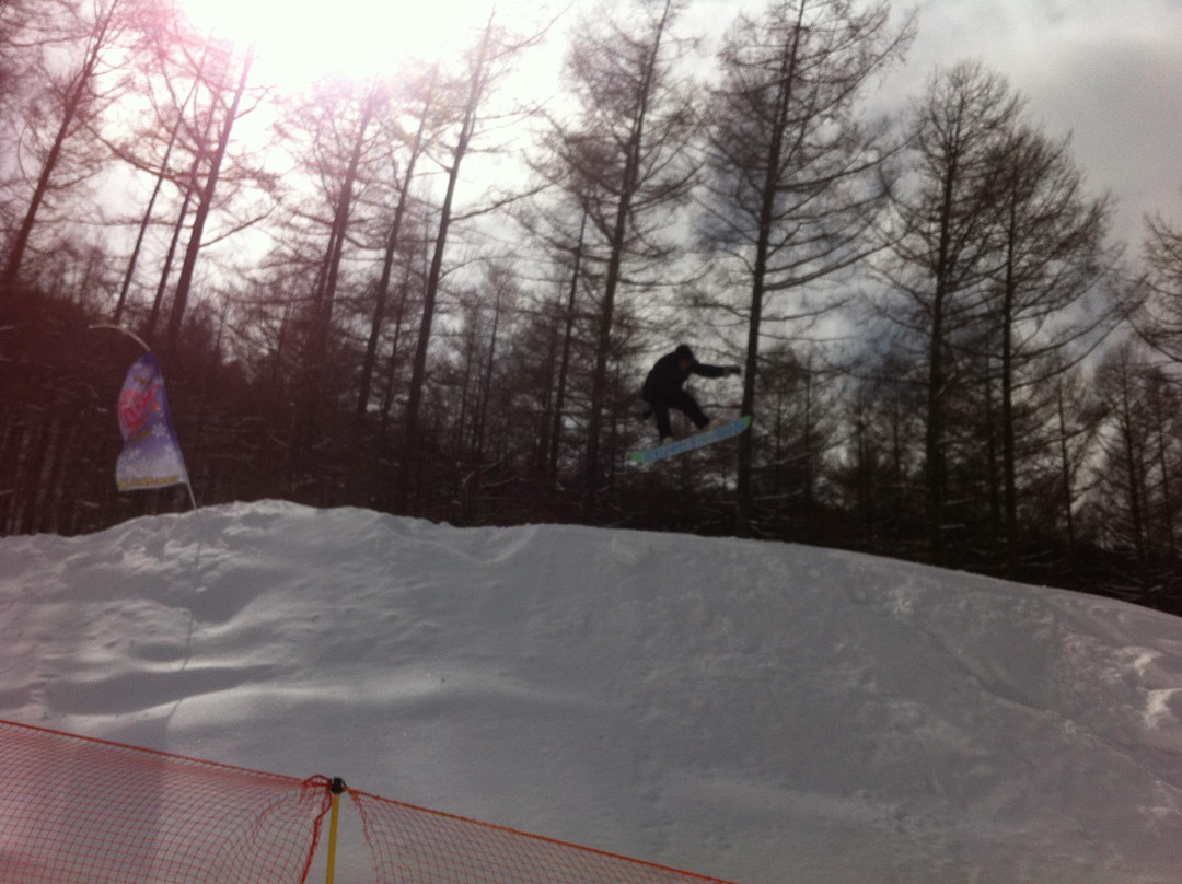 Shirakaba 2in1 Ski Area-立科町必去景点