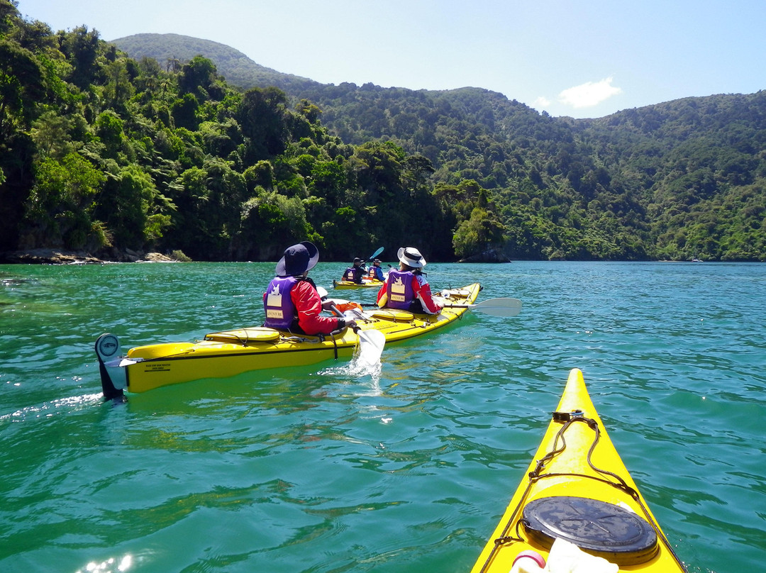 Marlborough Sounds Adventure Company - Day Tours景点图片