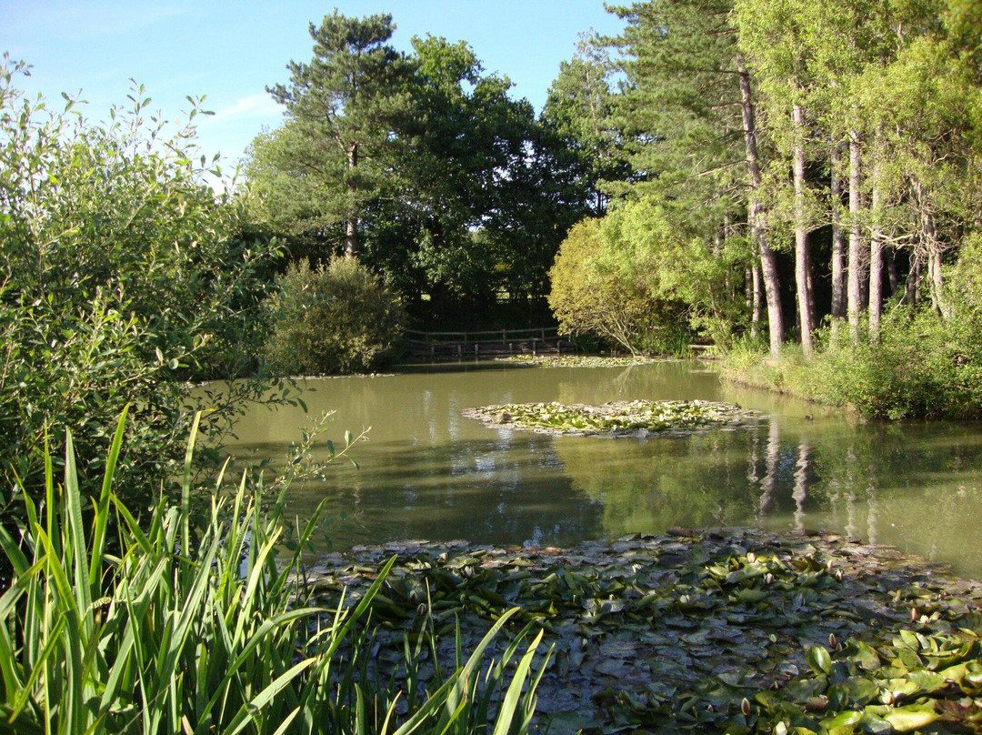 Alderwood Pond景点图片