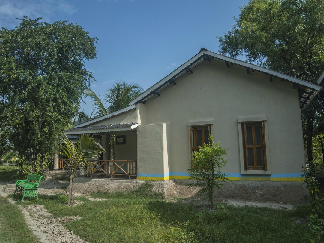 Sundarban Bali Jungle Camp