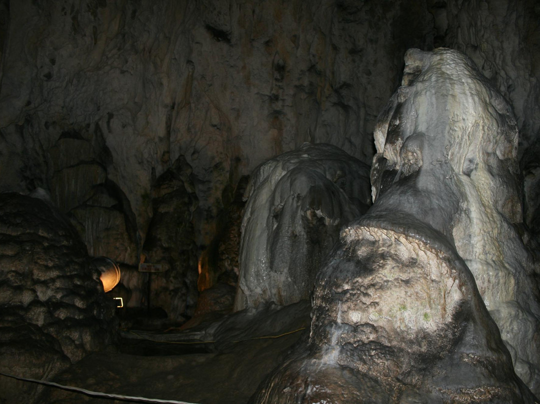 The Women's Cave ( Pestera Muierii )景点图片