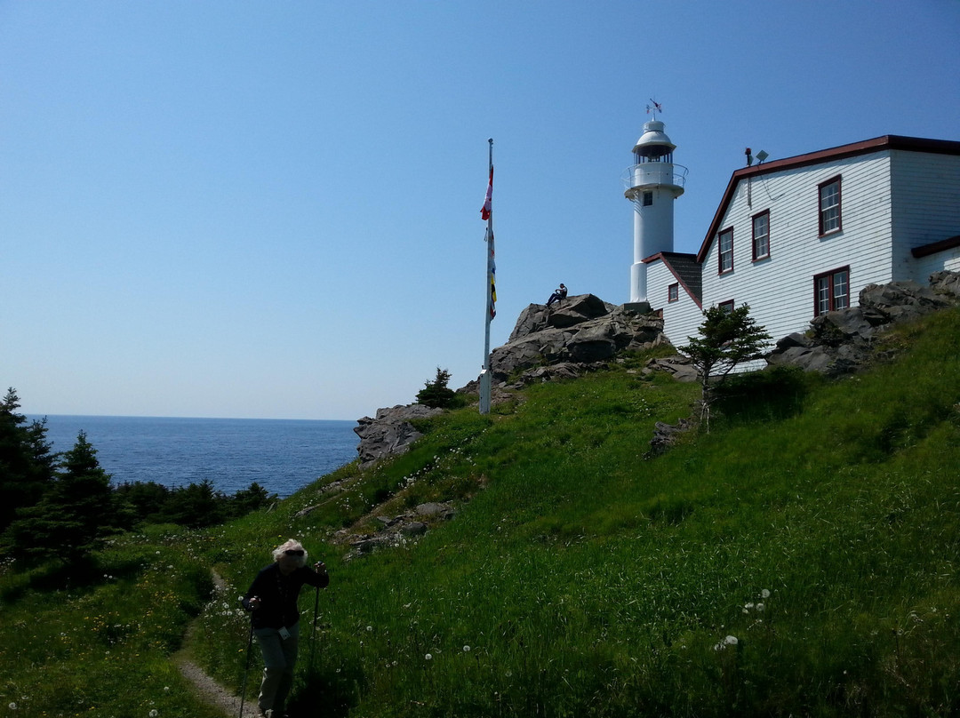 McCarthy's Party - Day Tours-圣约翰必去景点