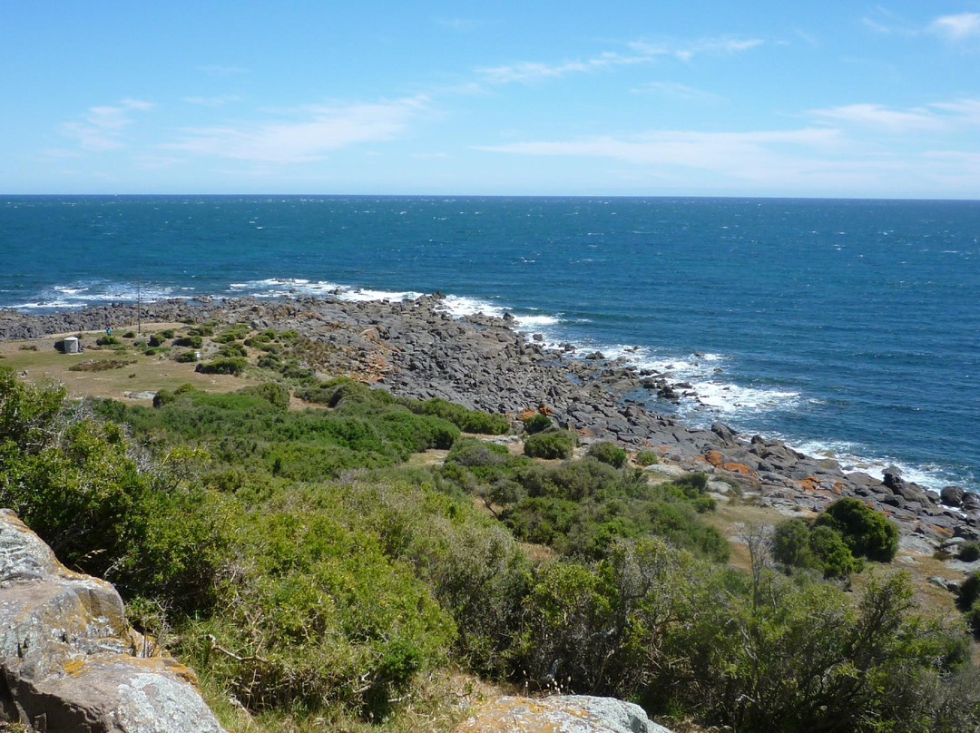 Low Head旅游攻略图片