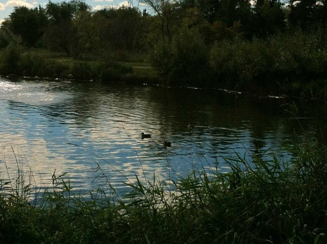 AE Wilson Park-里贾纳必去景点
