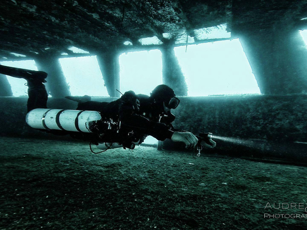 Gozo Diving