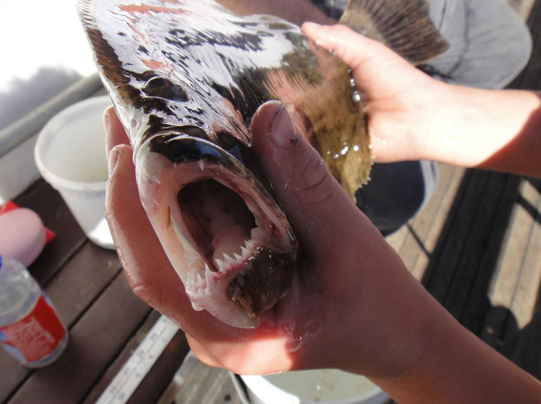 Capt. Rod Fishing Boat-Islip必去景点
