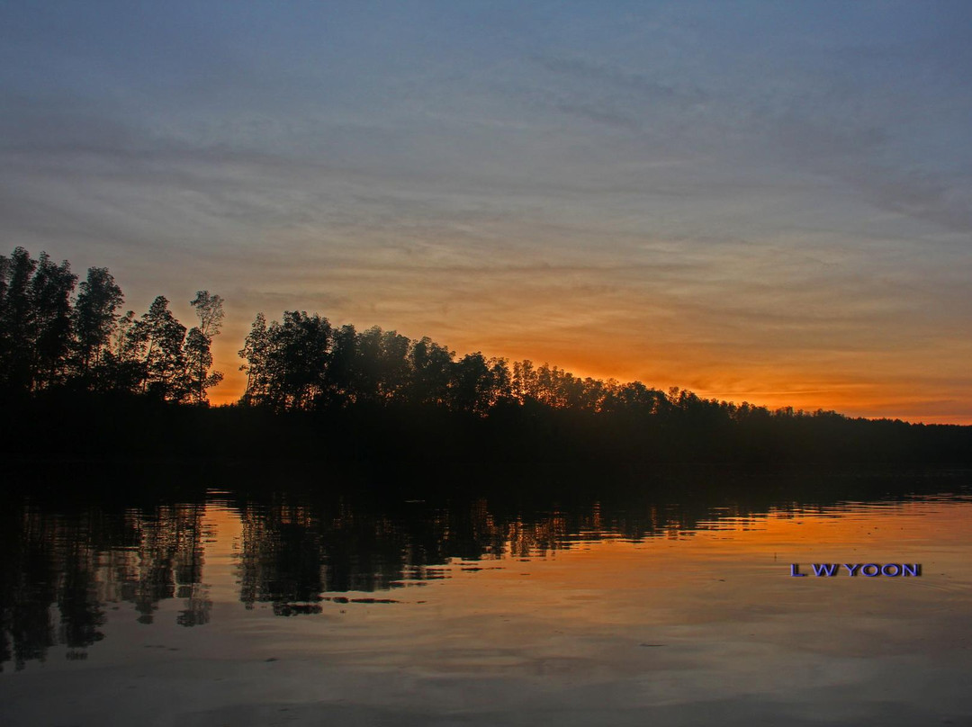 Matang Mangrove Forest Reserve-Kuala Sepetang必去景点