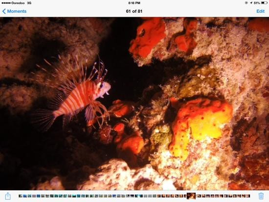 Dohna Dives-邦劳岛必去景点