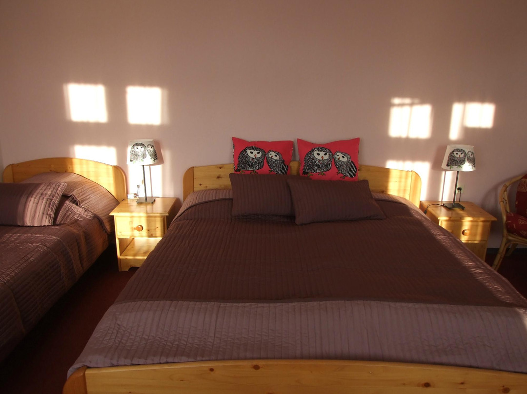 Hotel U Domu