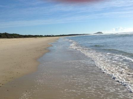 Hastings Point Headland景点图片