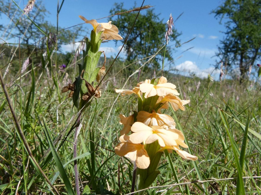 Maanzoni Sanctuary-Machakos必去景点