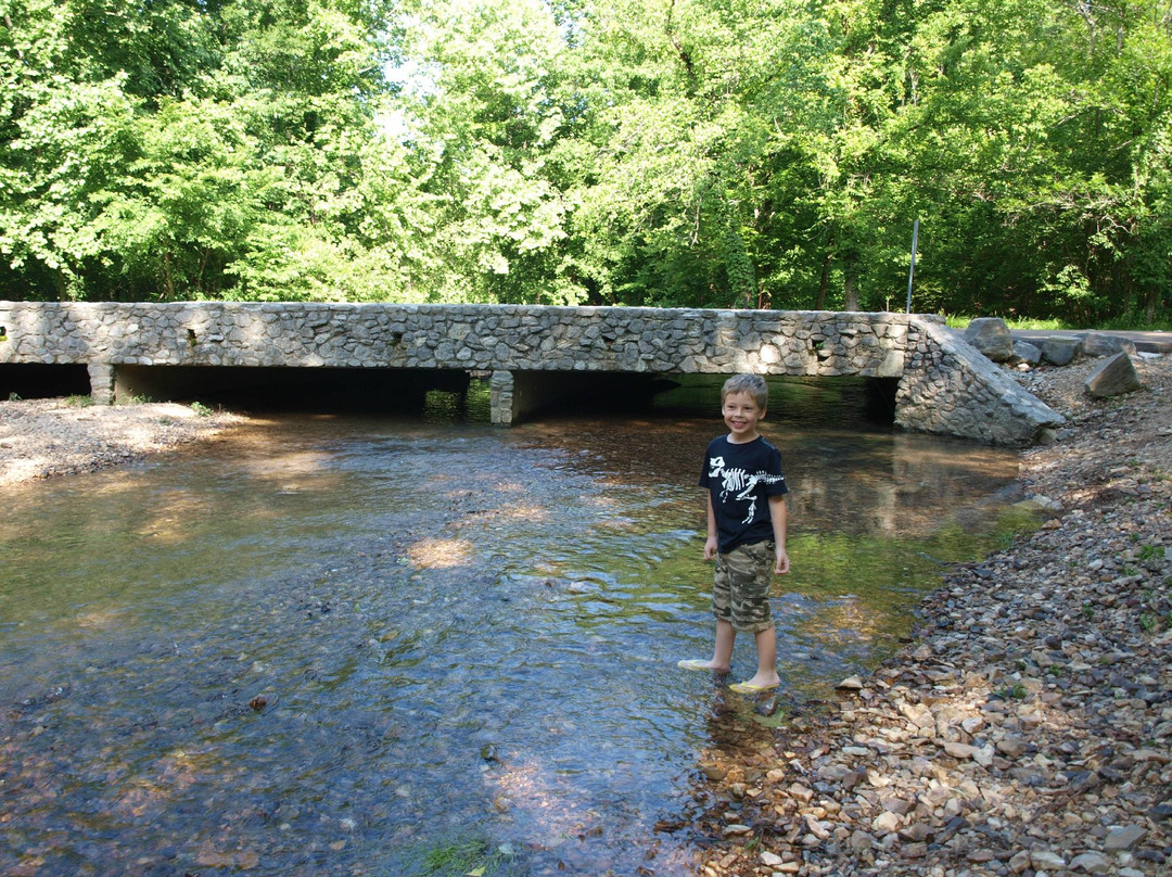 Mousetail Landing State Park-Linden必去景点