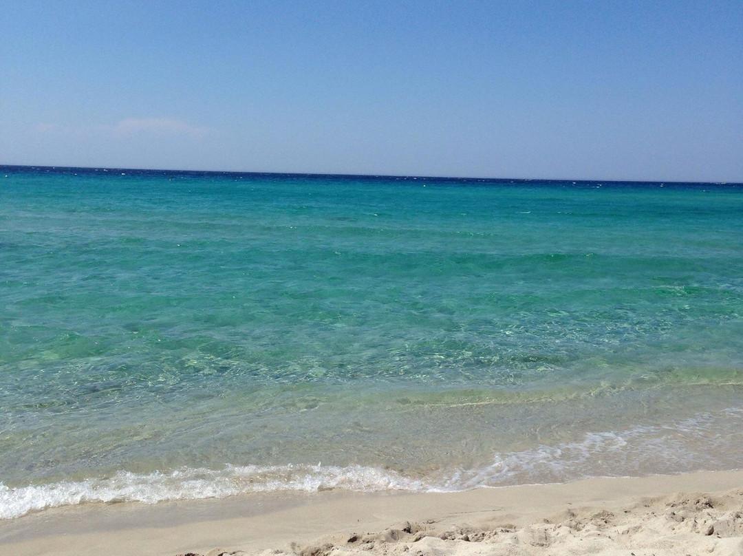 Plage de Bodri-Corbara必去景点