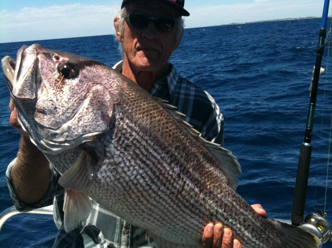 Saltwater Charters WA-拉瑞斯必去景点