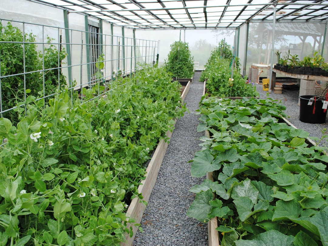 Kupa'a Farms-库拉必去景点