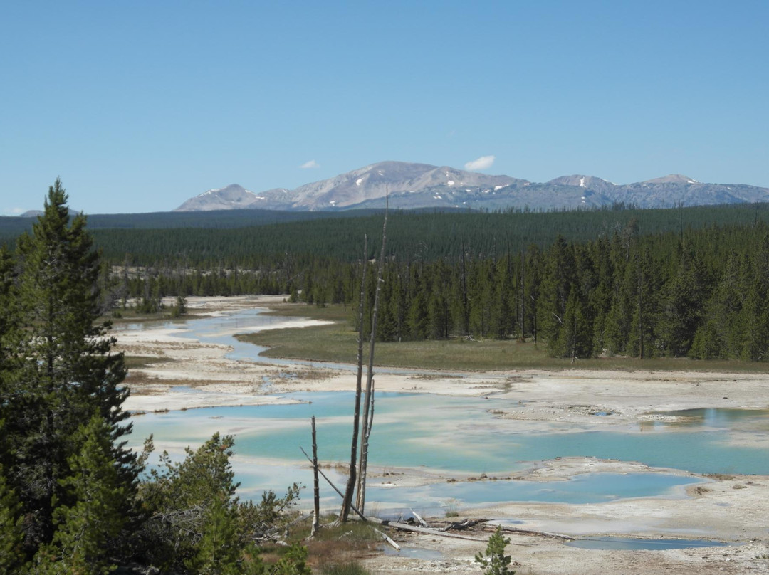 诺里斯间歇泉盆地-黄石国家公园必去景点