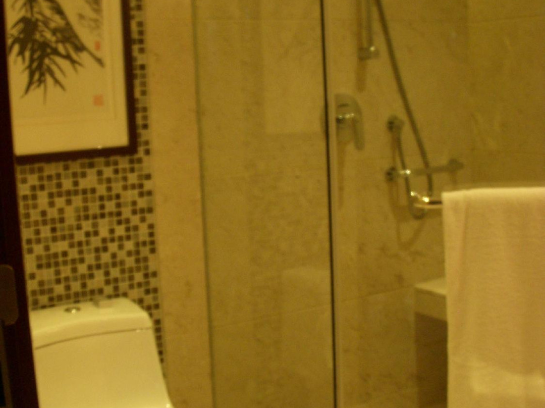 南山豪生大酒店主图