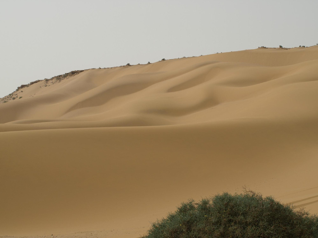 Laayoune Off Road-Laâyoune必去景点