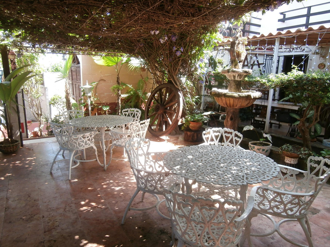 Guanabo餐馆和美食-Maeda