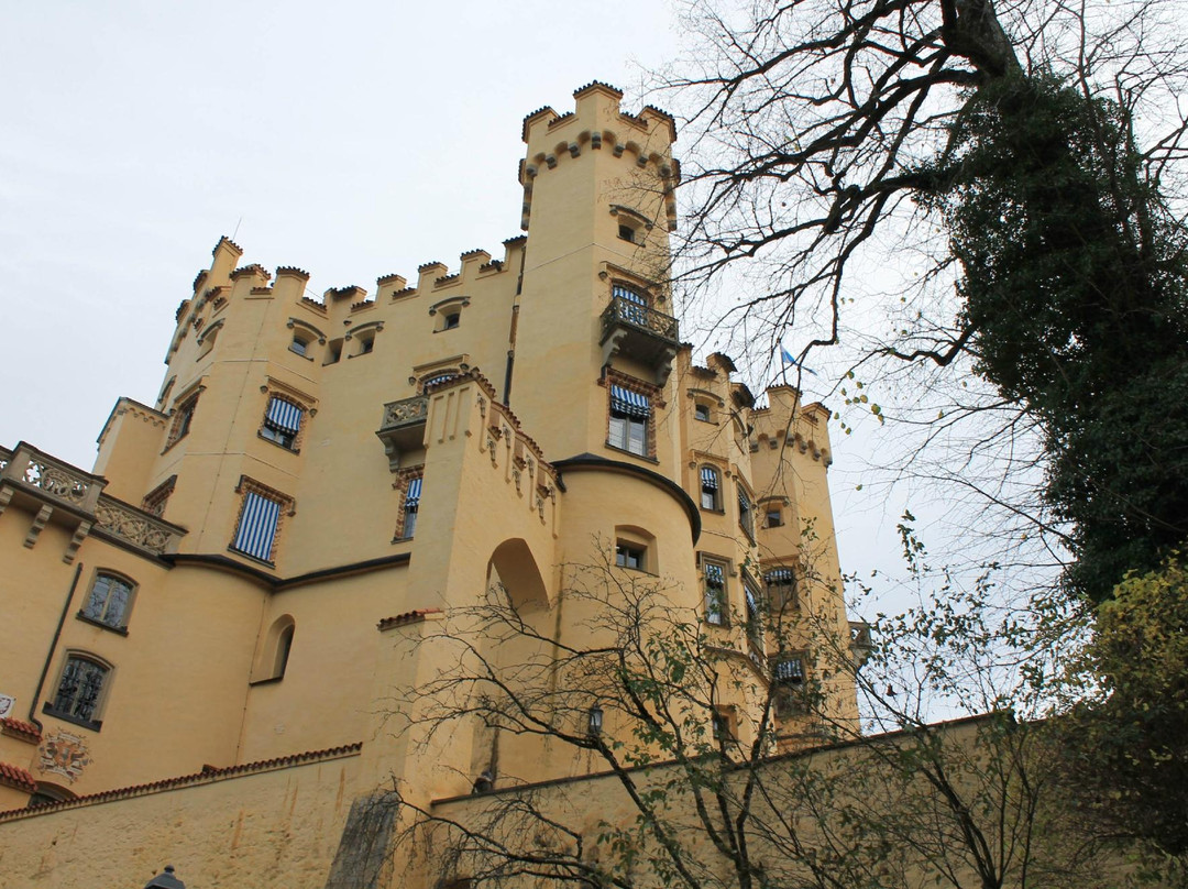 Schloss Hohenschwangau景点图片