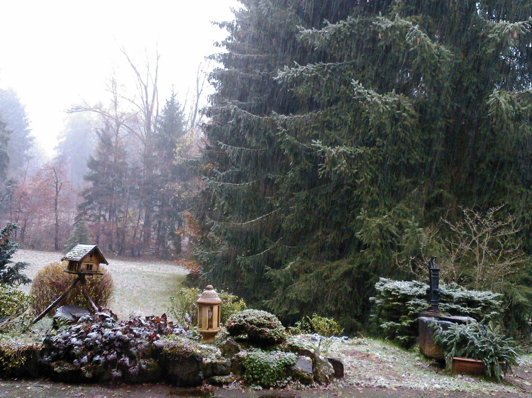 Hotel Restaurant Herrmannsee主图