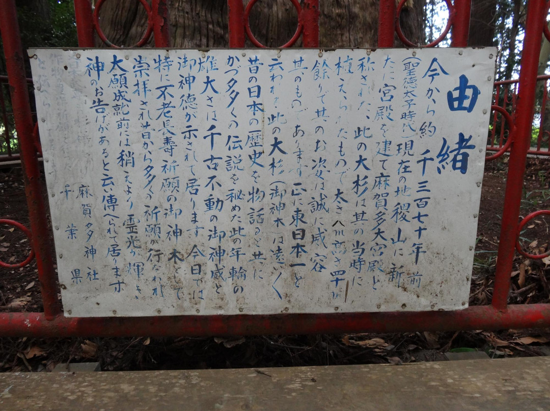 Makata Shrine-成田市必去景点