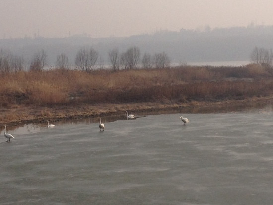 陕州风景区-三门峡市必去景点